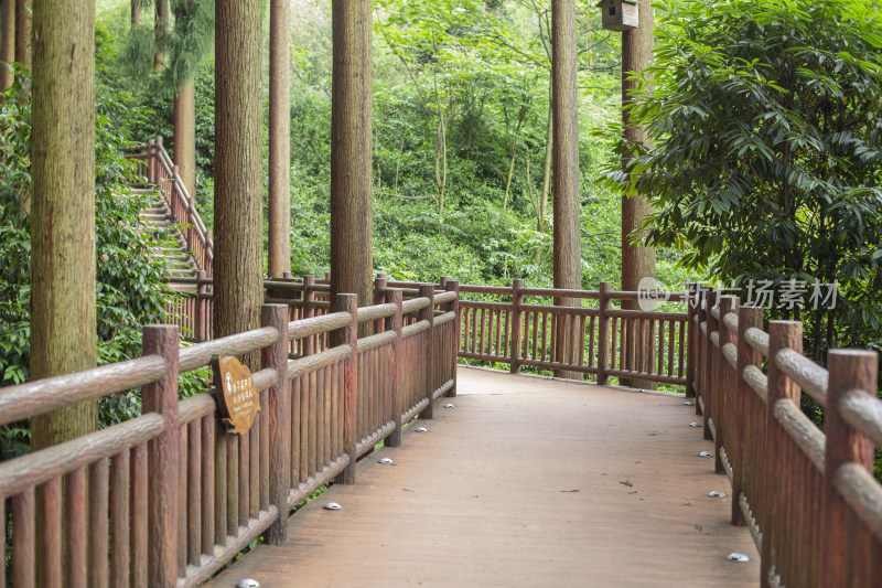 峨眉山禅道森林栈道