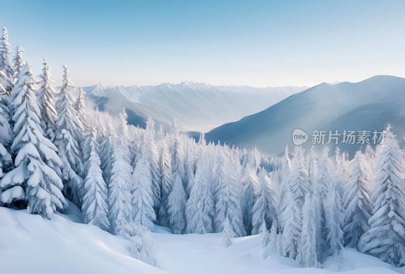 冬季森林白雪覆盖风景