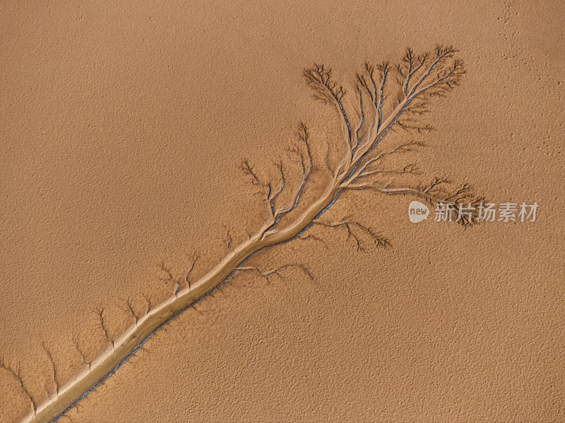 黄河口湿地美景