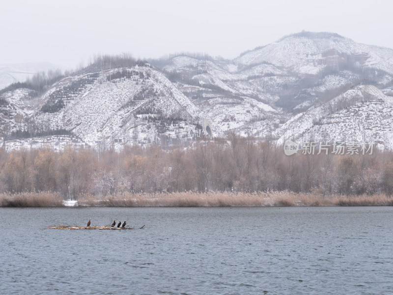 雪景湖水