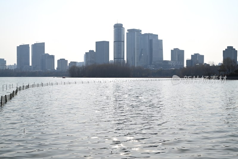 南京玄武湖湖畔城市天际线景观