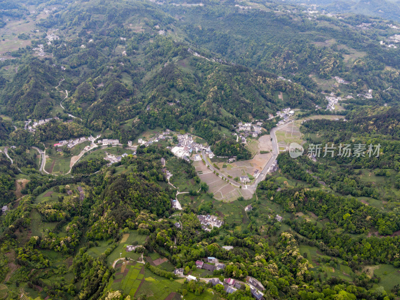 大山山峰农村农业农民茶园