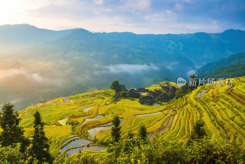 秋季的加榜梯田，满眼望去都是一遍金黄