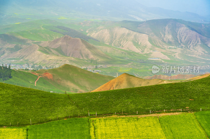 青海祁连县卓尔山景区，夏季起伏的高山牧场