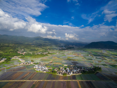 水田秧田中的乡村村落