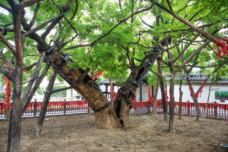 江苏省宿迁项王故里景区的古建筑风光