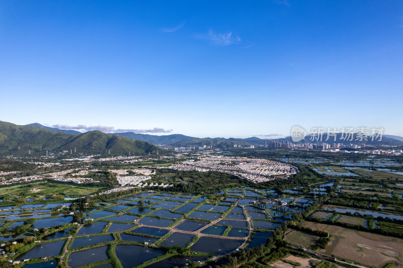 香港米埔自然护理区