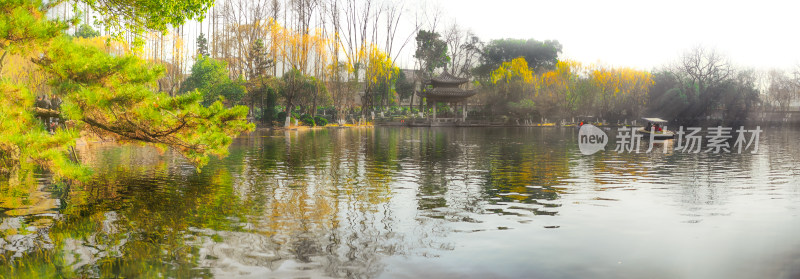 湖州莲花庄清晨早晨树林湖畔树林阳光