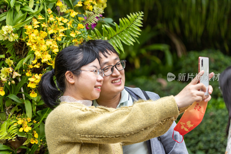 深圳仙湖植物园花展