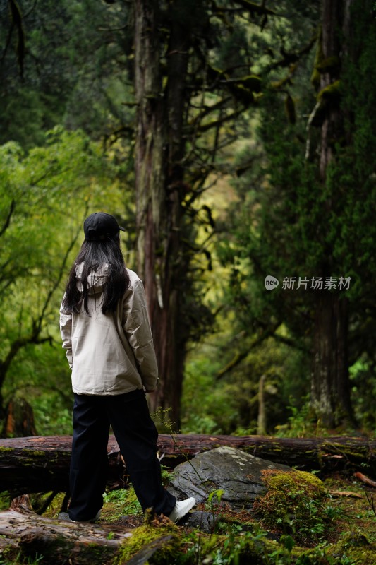 四姑娘雪山旅游的人