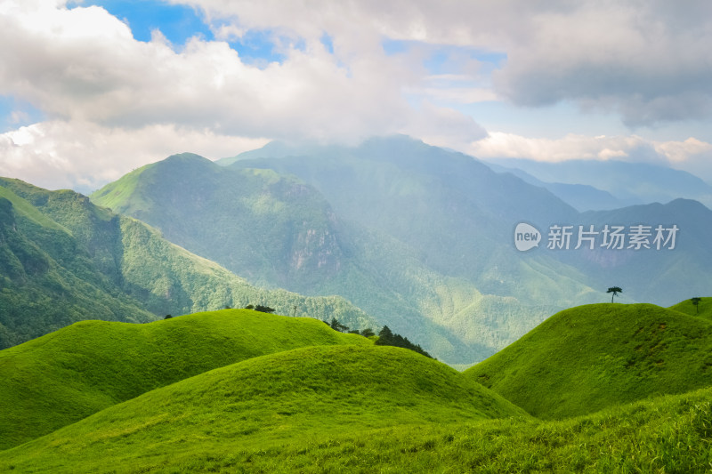 夏天江西武功山的高山草甸