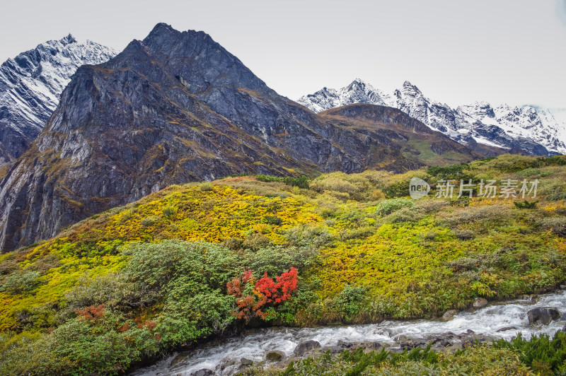 西藏雪山河谷草坪自然风景