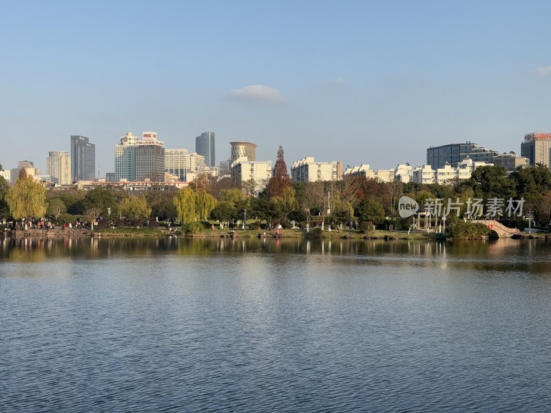 宁波月湖公园湖畔秋景