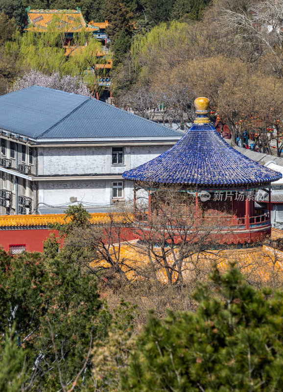 北京景山公园看北海公园后海公园城市景观