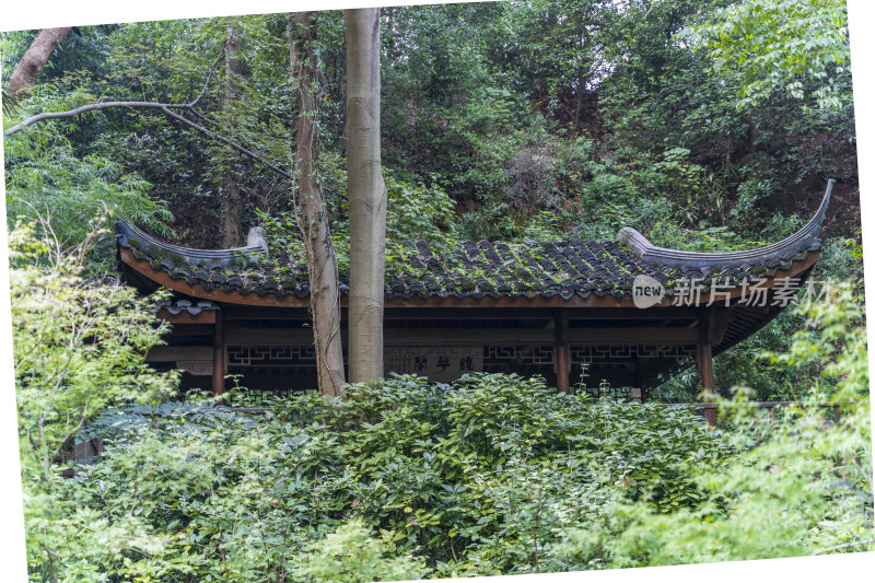 杭州三台山留馀山居风景