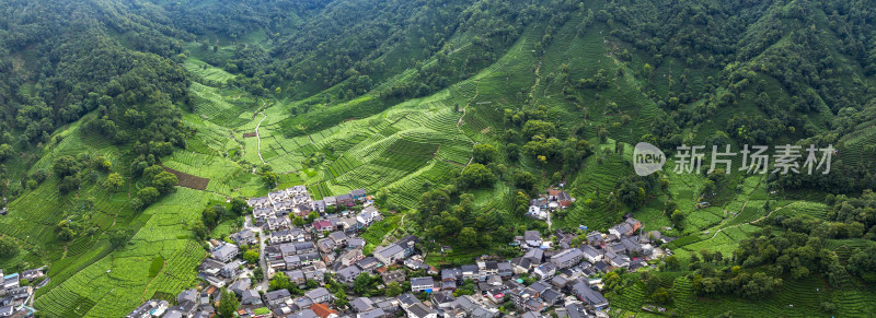 杭州西湖龙井产地梅家坞云雾茶园