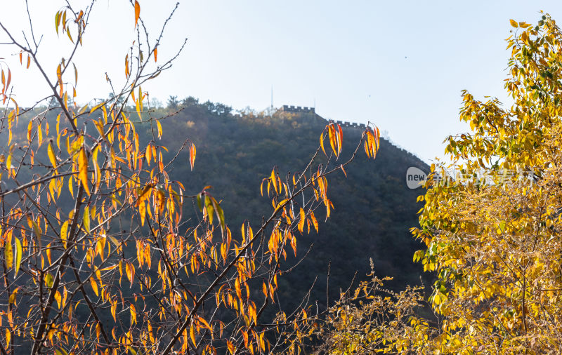 北京黄花城水长城秋季风光