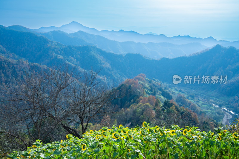 安徽徽州皖南群山云海河流仙境云端村落