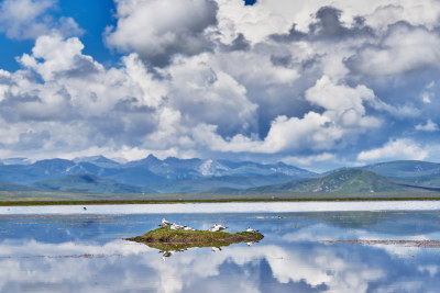 甘肃尕海湖美景