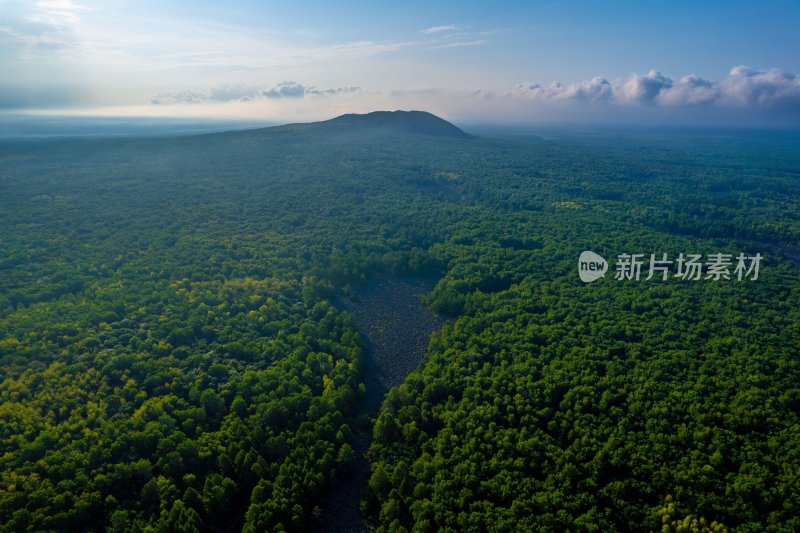 森林山脉航拍全景