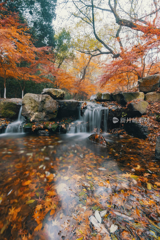 浙江杭州九溪烟树景区-落满枫叶的小溪