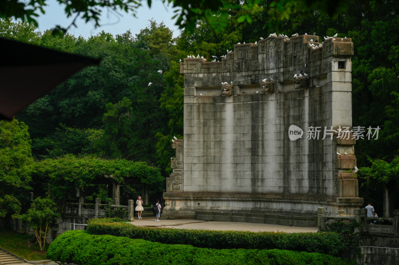 南京音乐台风光