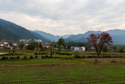 乡村田园山水风光卢村