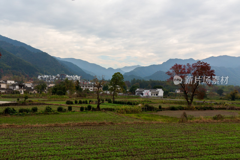 乡村田园山水风光卢村