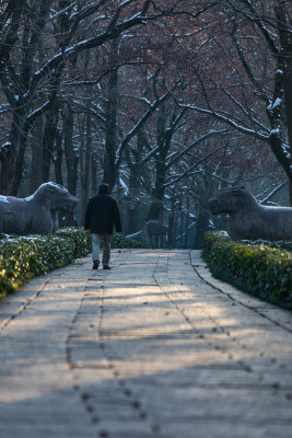 南京明孝陵石象路神道雪景