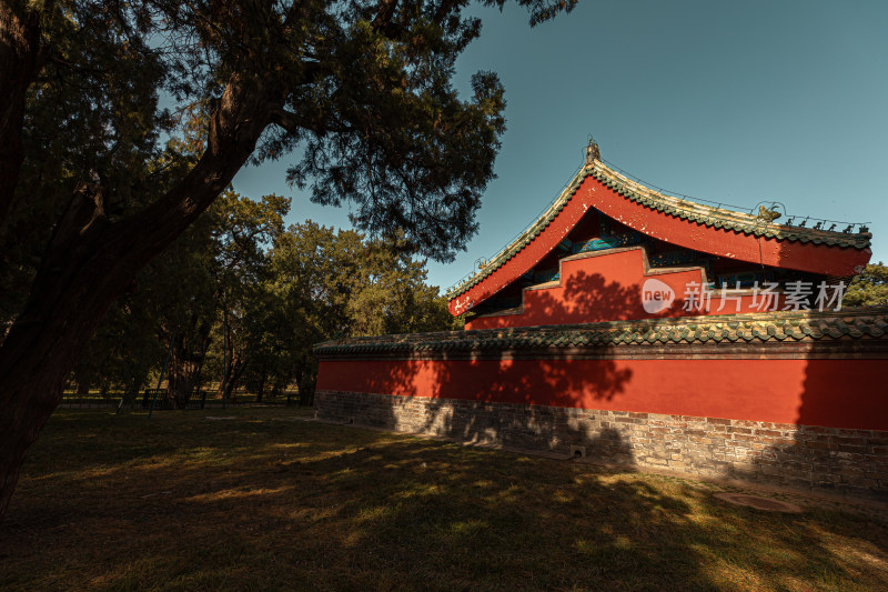 北京天坛公园自然景色