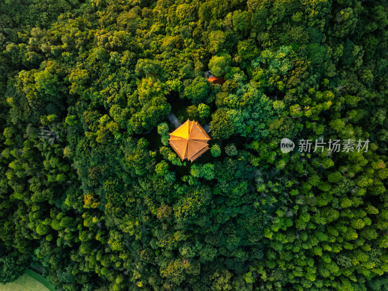 广州麓湖鸿鹄楼落日高空航拍实拍照片