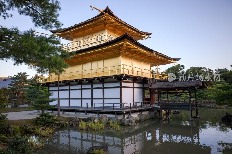 日本京都金阁寺金色舍利殿近景特写