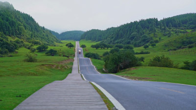 重庆仙女山云上草原起伏路