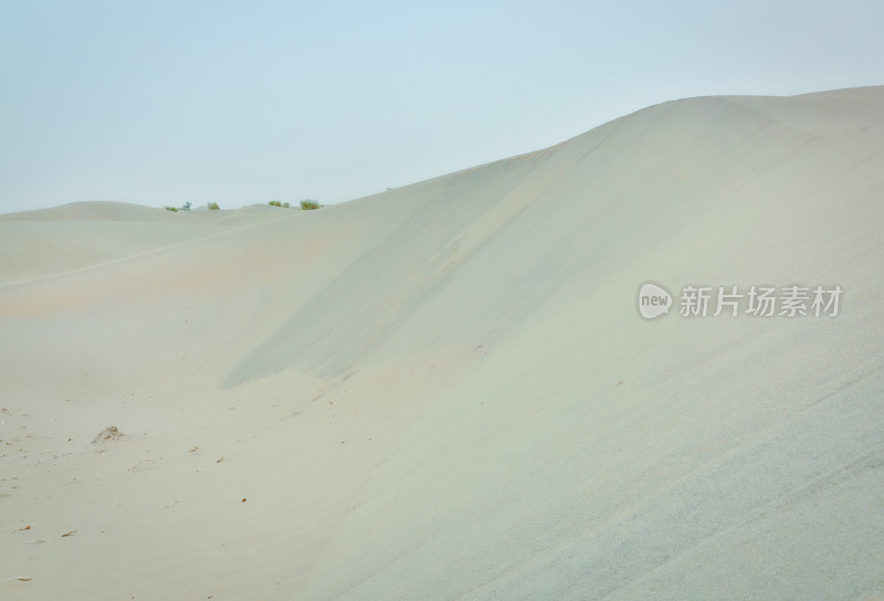 新疆塔克拉玛干沙漠沙海自然风光
