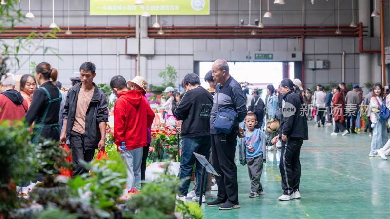 国庆假期云南昆明的斗南花市