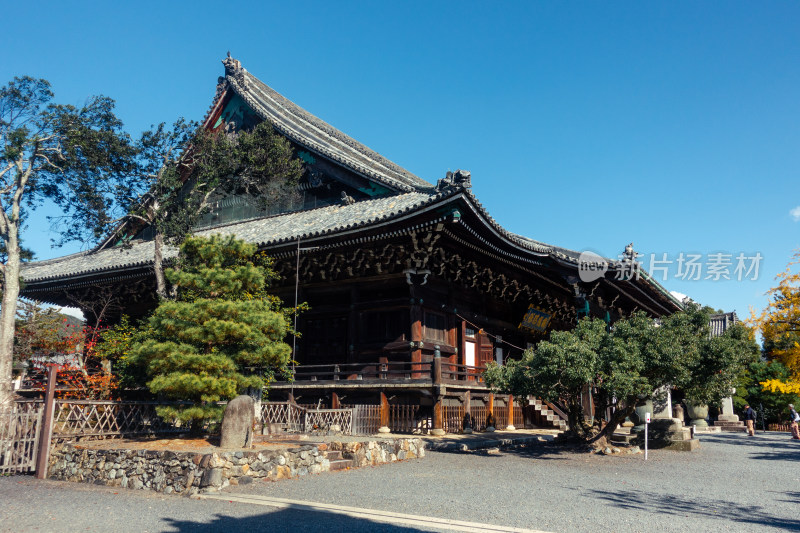 寺庙 京都 庭院 京都  日式 唐朝