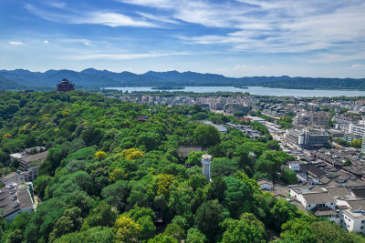 杭州吴山景区伍公庙航拍