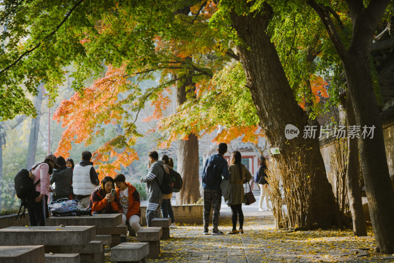 崂山太清宫秋季景色