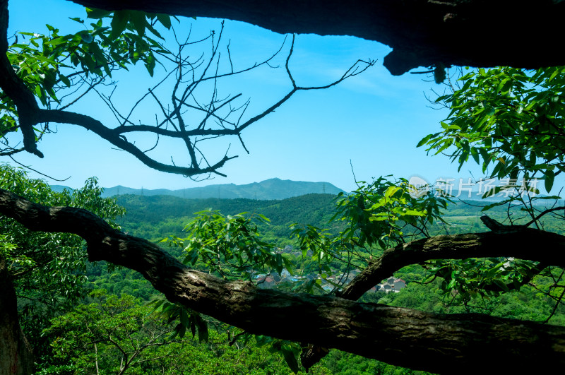 山中的自然风景