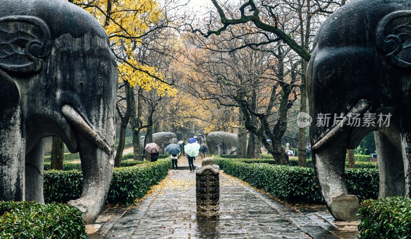 秋日石象景观小道雨中明孝陵