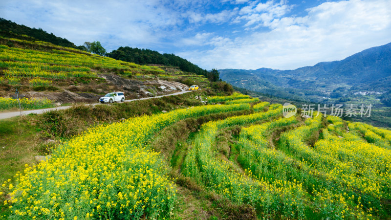 古村落婺源徽派建筑古建筑古遗址