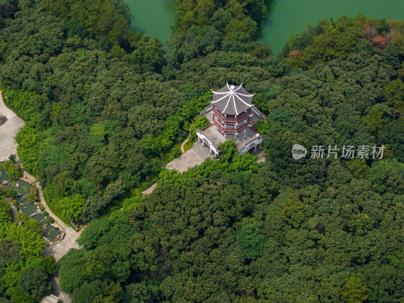 航拍夏季河南信阳南湾湖茶岛风光