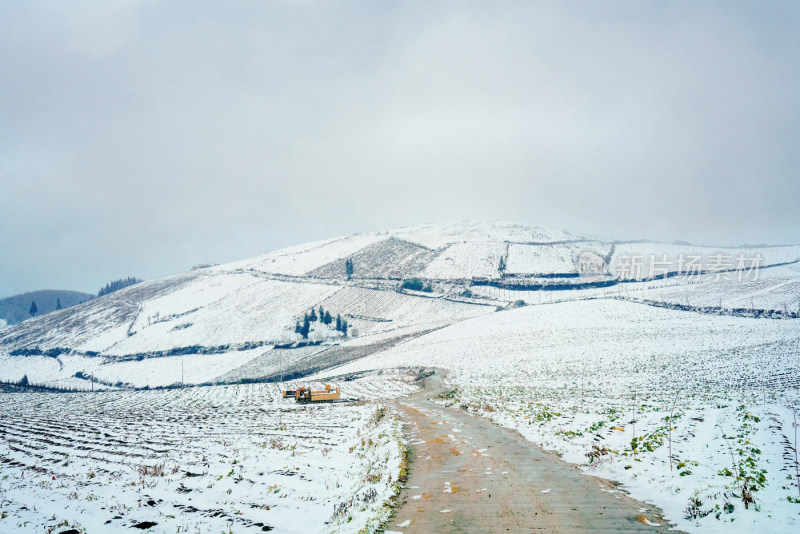 冬季雪景美景大雪