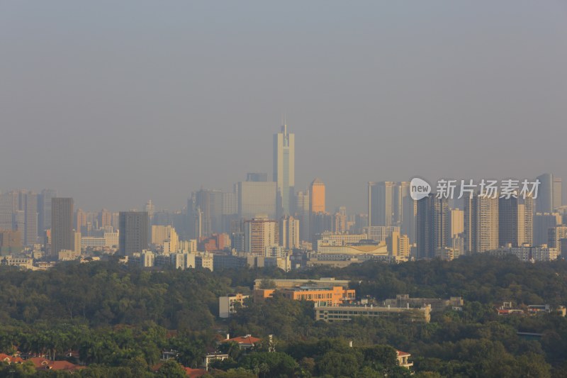 城市森林中高楼林立的全景景象