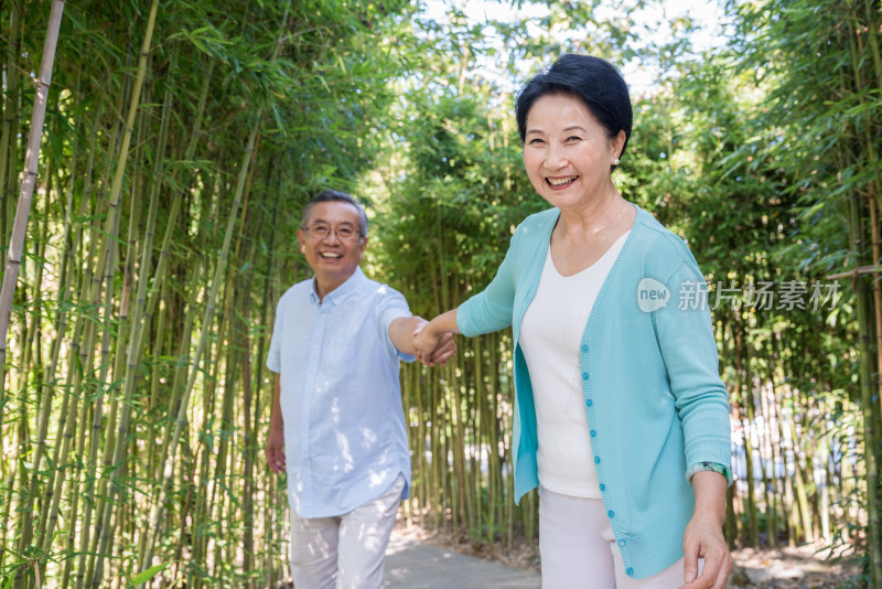 一对老夫妻在竹林散步