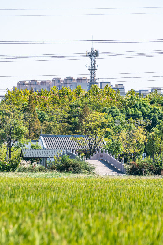 上海嘉定嘉北郊野公园自然田园风光