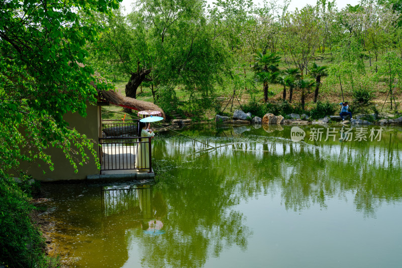 有小溪的春日树林风景