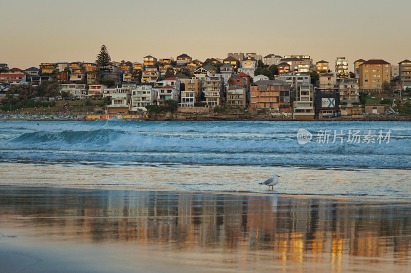 悉尼邦迪沙滩，bondi beach，日落与倒影