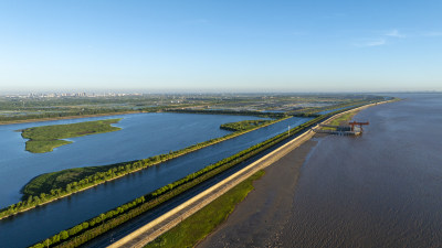 杭州钱塘大湾区湿地公园清晨风光