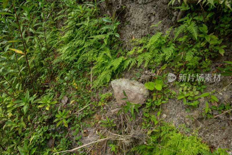 云和横山周窑址